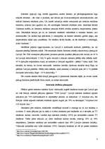 Referāts 'Interneta reklāmas un tās novērtējums', 6.