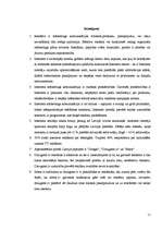 Referāts 'Interneta reklāmas un tās novērtējums', 11.