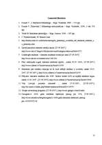 Referāts 'Interneta reklāmas un tās novērtējums', 12.