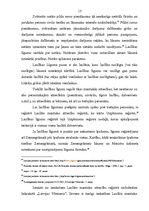 Diplomdarbs 'Laulības līgumi', 17.