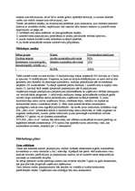 Biznesa plāns 'Autostāvvieta “Stāvi droši”', 2.