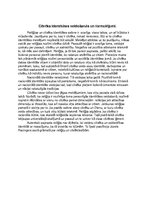 Eseja 'Cilvēka identitātes veidošanās un formulējumi', 1.