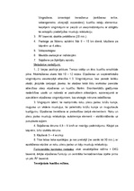 Konspekts 'Pneimonija. Rehabilitācija', 4.