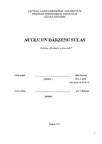 Referāts 'Augļu un dārzeņu sulas', 1.