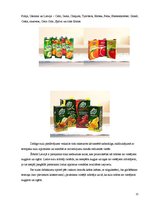 Referāts 'Augļu un dārzeņu sulas', 11.