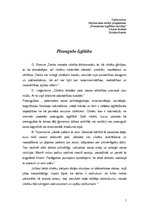 Referāts 'Pieaugušo izglītība', 1.