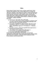 Konspekts 'Maize un tās iepakojumi', 4.