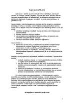 Konspekts 'Maize un tās iepakojumi', 5.