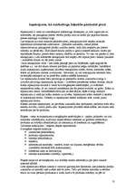 Konspekts 'Maize un tās iepakojumi', 13.