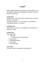 Konspekts 'Pieci vārdi valodas sistēmā', 5.