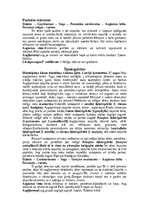 Referāts 'Pavasara sēnes', 12.