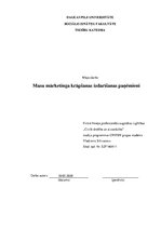 Konspekts 'Masu mārketinga krāpšanas izdarīšanas paņēmieni', 1.