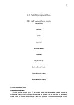 Referāts 'Segmentēšanas veidi un metodes', 19.