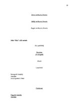 Referāts 'Segmentēšanas veidi un metodes', 23.