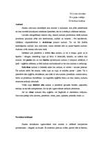 Referāts 'Tekstilmācība', 4.