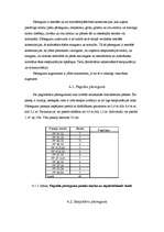 Konspekts 'Būvprojektēšana', 6.