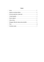 Referāts 'Jauniešu komunikācija interneta vidē', 2.