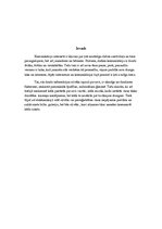 Referāts 'Jauniešu komunikācija interneta vidē', 3.