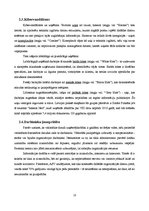 Referāts 'E-komercijas drošība', 10.