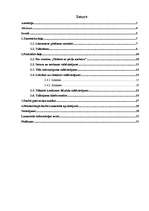 Referāts 'Rakstnieces T.Ševaljē romāna "Meitene ar pērļu auskaru" angliskā un latviskā tek', 2.