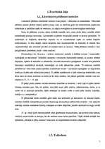 Referāts 'Rakstnieces T.Ševaljē romāna "Meitene ar pērļu auskaru" angliskā un latviskā tek', 7.