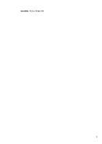 Referāts 'Rakstnieces T.Ševaljē romāna "Meitene ar pērļu auskaru" angliskā un latviskā tek', 34.