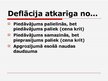 Prezentācija 'Inflācija un deflācija', 12.
