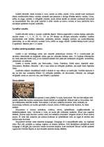 Referāts 'Izraēla', 3.