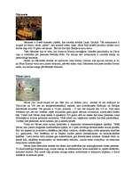 Referāts 'Izraēla', 6.