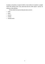 Referāts 'Tīkla mārketings', 4.