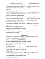 Konspekts 'Integrētas stundas konspekts dabas zinībās', 2.