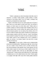 Referāts 'Vulkāni', 1.