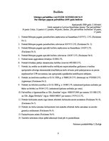 Referāts 'Mārupes pašvaldība', 9.