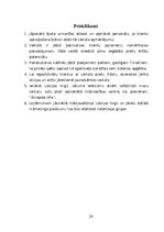 Biznesa plāns 'Uzņēmuma Victoria’s Secret veikala atvēršana Latvijā', 29.