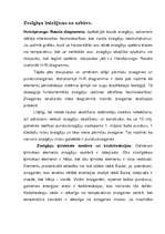 Referāts 'Zvaigžņu iedalījums', 5.