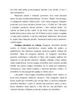 Referāts 'Zvaigžņu iedalījums', 7.