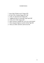 Referāts 'F.Nīče', 13.