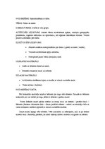 Konspekts 'Nodarbību konspekti pirmsskolas izglītības iestādē', 7.