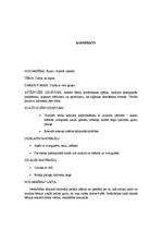 Konspekts 'Nodarbību konspekti pirmsskolas izglītības iestādē', 8.