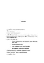 Konspekts 'Nodarbību konspekti pirmsskolas izglītības iestādē', 9.