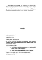 Konspekts 'Nodarbību konspekti pirmsskolas izglītības iestādē', 10.