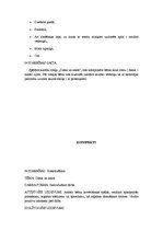 Konspekts 'Nodarbību konspekti pirmsskolas izglītības iestādē', 11.