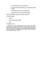 Konspekts 'Nodarbību konspekti pirmsskolas izglītības iestādē', 12.