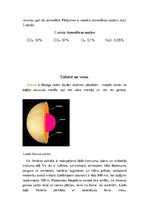 Konspekts 'Venēra un Merkūrs', 6.