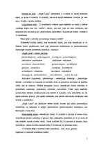 Referāts 'Semiotika. Žurnāla "Rīgas Laiks" pašreklāmas analīze', 5.