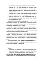 Referāts 'Semiotika. Žurnāla "Rīgas Laiks" pašreklāmas analīze', 6.