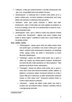 Referāts 'Semiotika. Žurnāla "Rīgas Laiks" pašreklāmas analīze', 7.