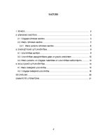 Referāts 'Dabas vielas pārtikas produktu sistēmās', 2.