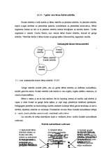 Diplomdarbs 'Rotaļas izmantošanas iespējas bērna lasīt mācīšanas apguvē pimskolas vecuma bērn', 19.