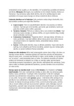 Konspekts 'Ķeltu civilizācija: vēsture, reliģija, druīdi, kultūra un mantojums', 6.
